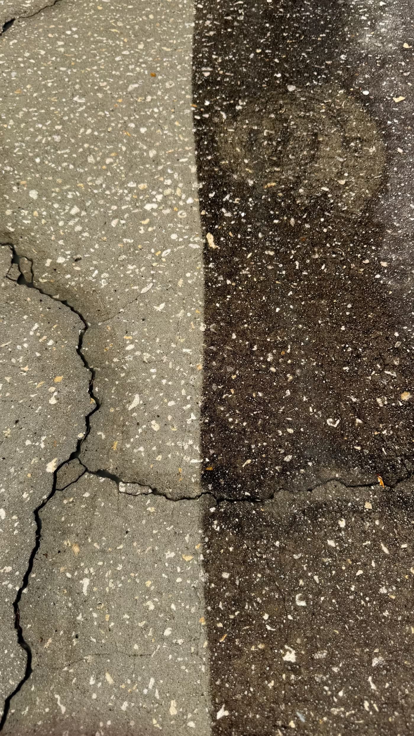 Sidewalk cleaning example in Tampa showing a concrete walkway surface with a cleaned pass