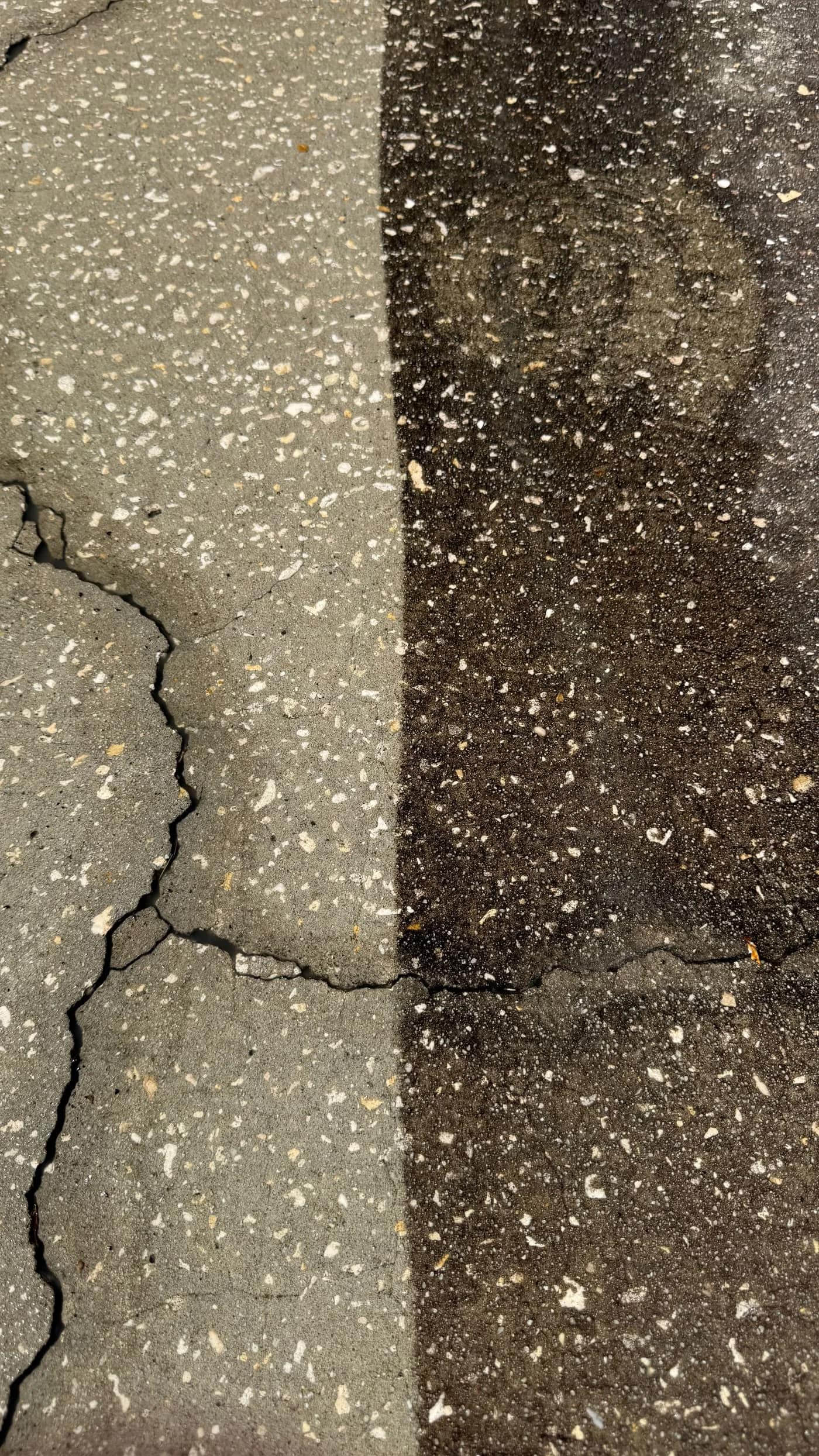 Sidewalk cleaning example in Tampa showing a concrete walkway surface with a cleaned pass