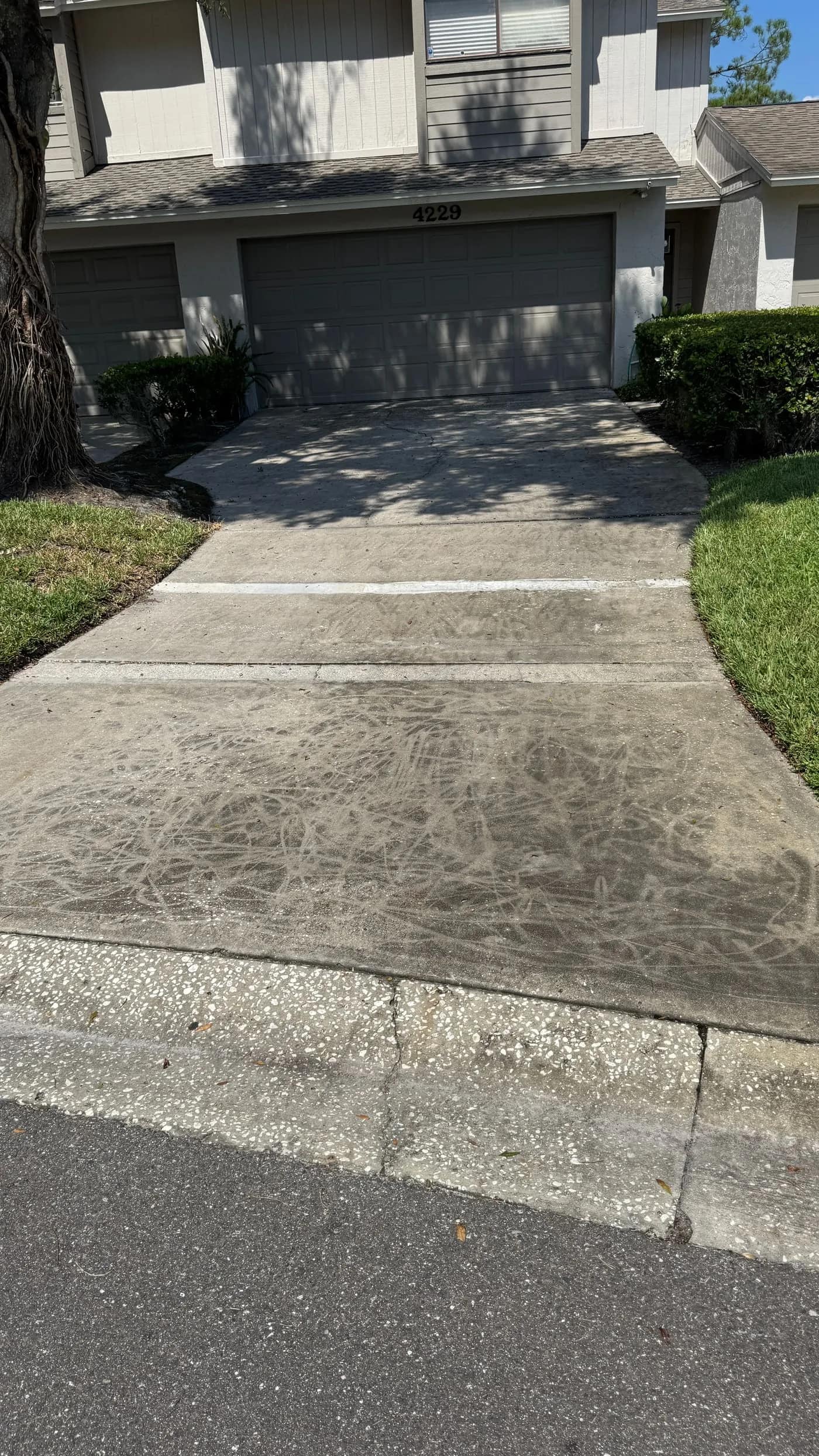 Driveway before pressure washing in Tampa with darker concrete and visible buildup