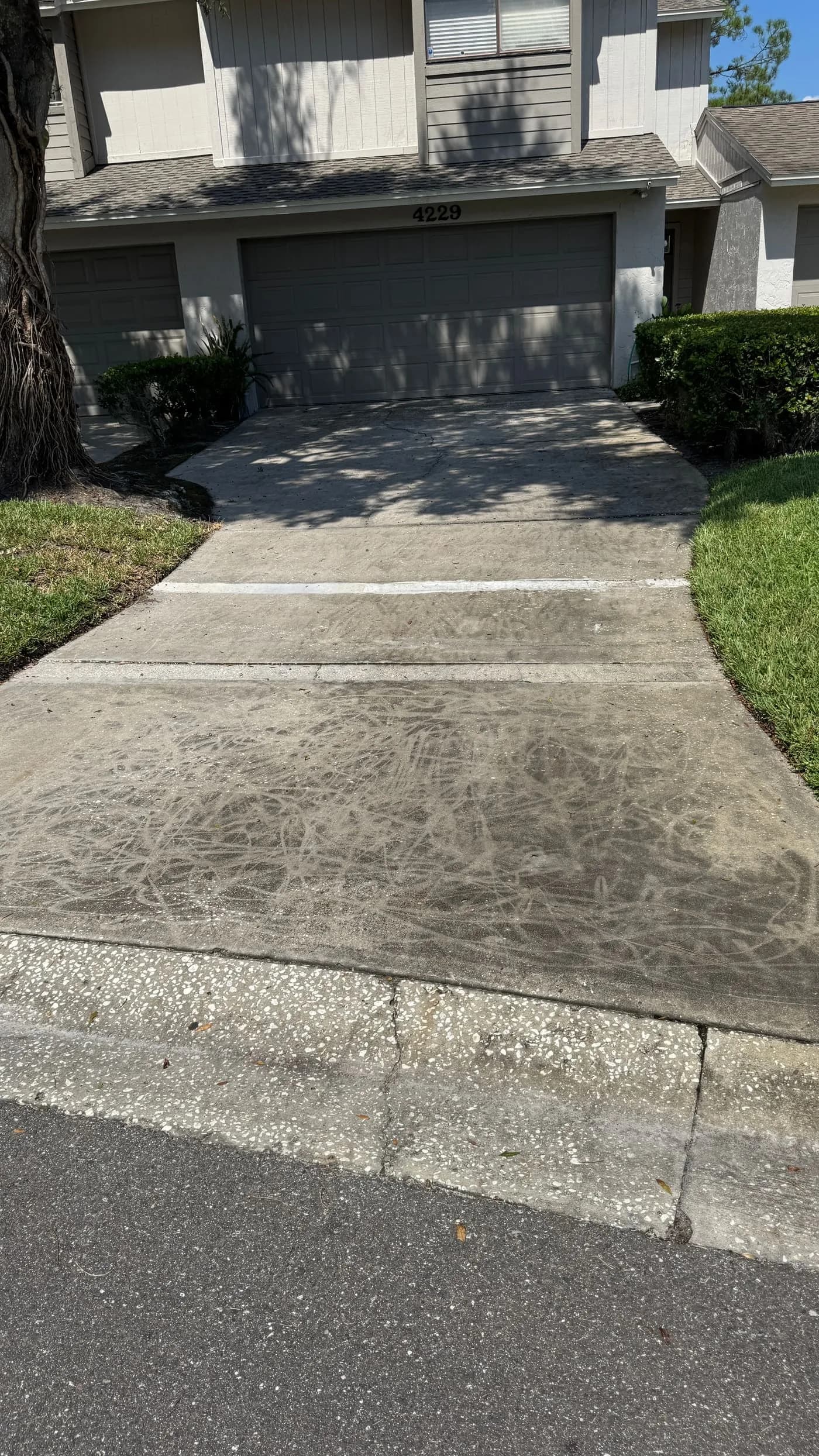 Driveway before pressure washing in Tampa with darker concrete and visible buildup