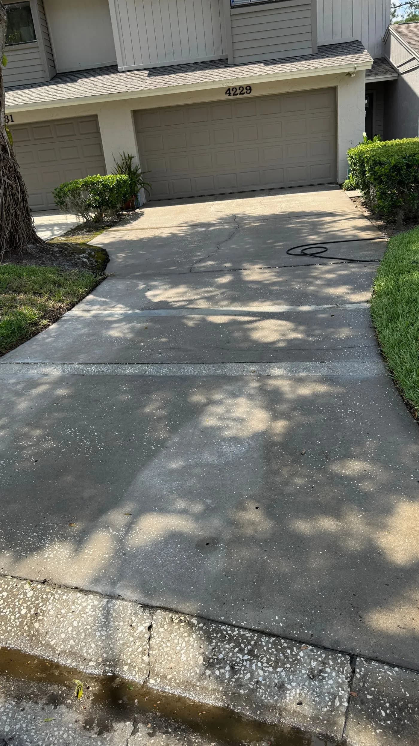 Driveway after pressure washing in Tampa with brighter concrete and cleaner finish