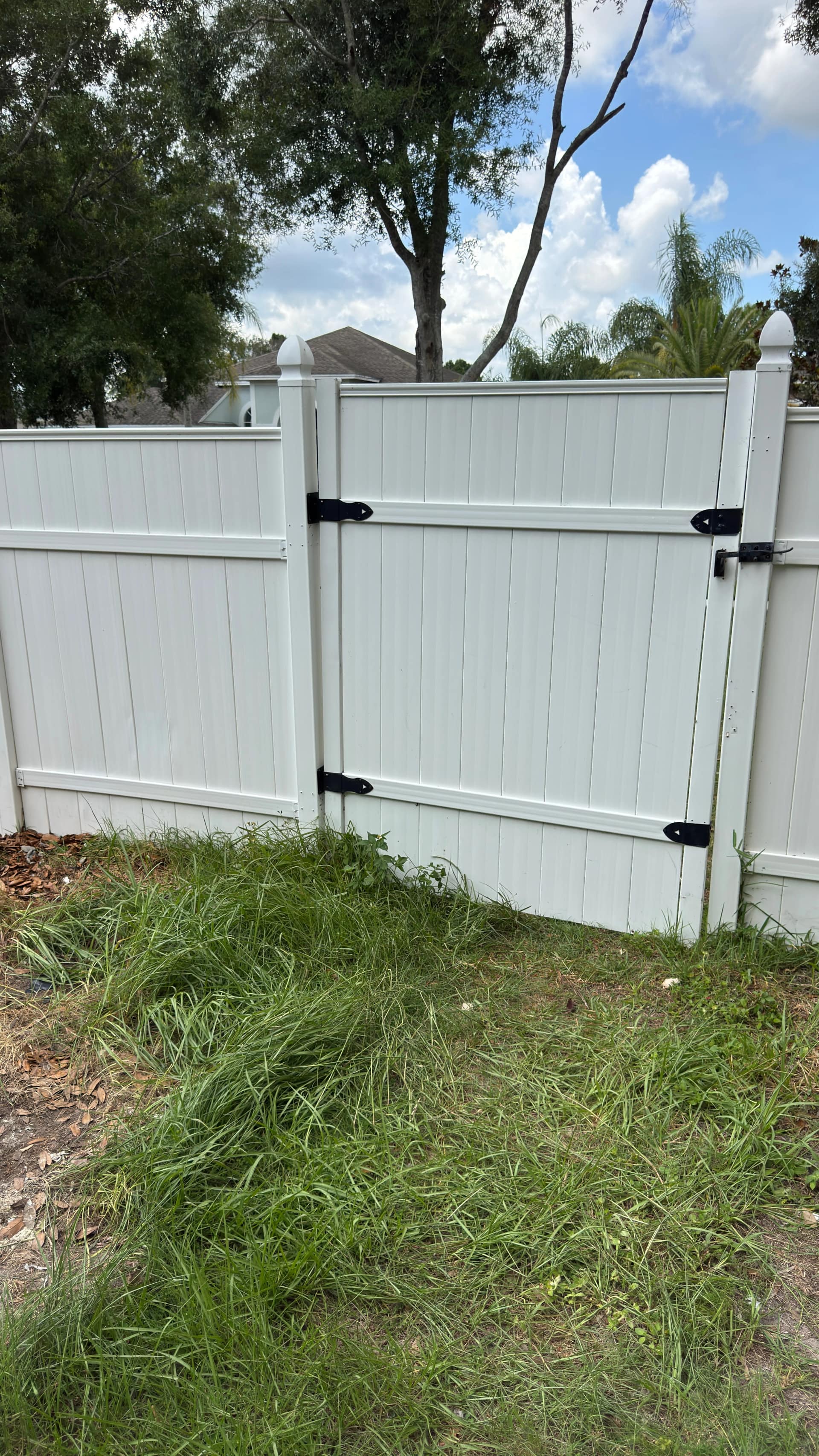Vinyl fence gate after cleaning with brighter panels and crisp black hardware at a Tampa-area home