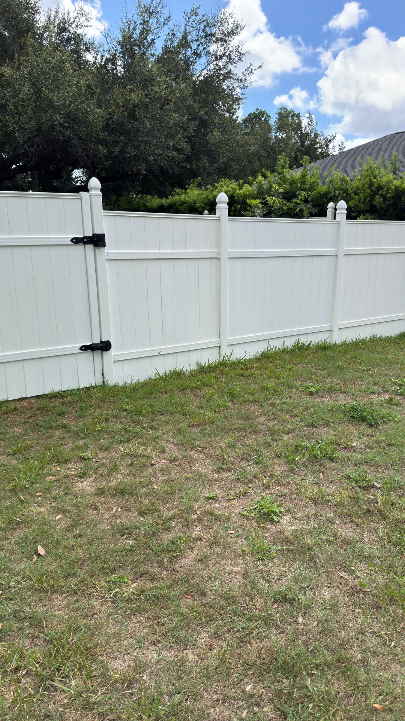 Fence and larger-yard cleaning example representative of Lutz exterior cleaning projects