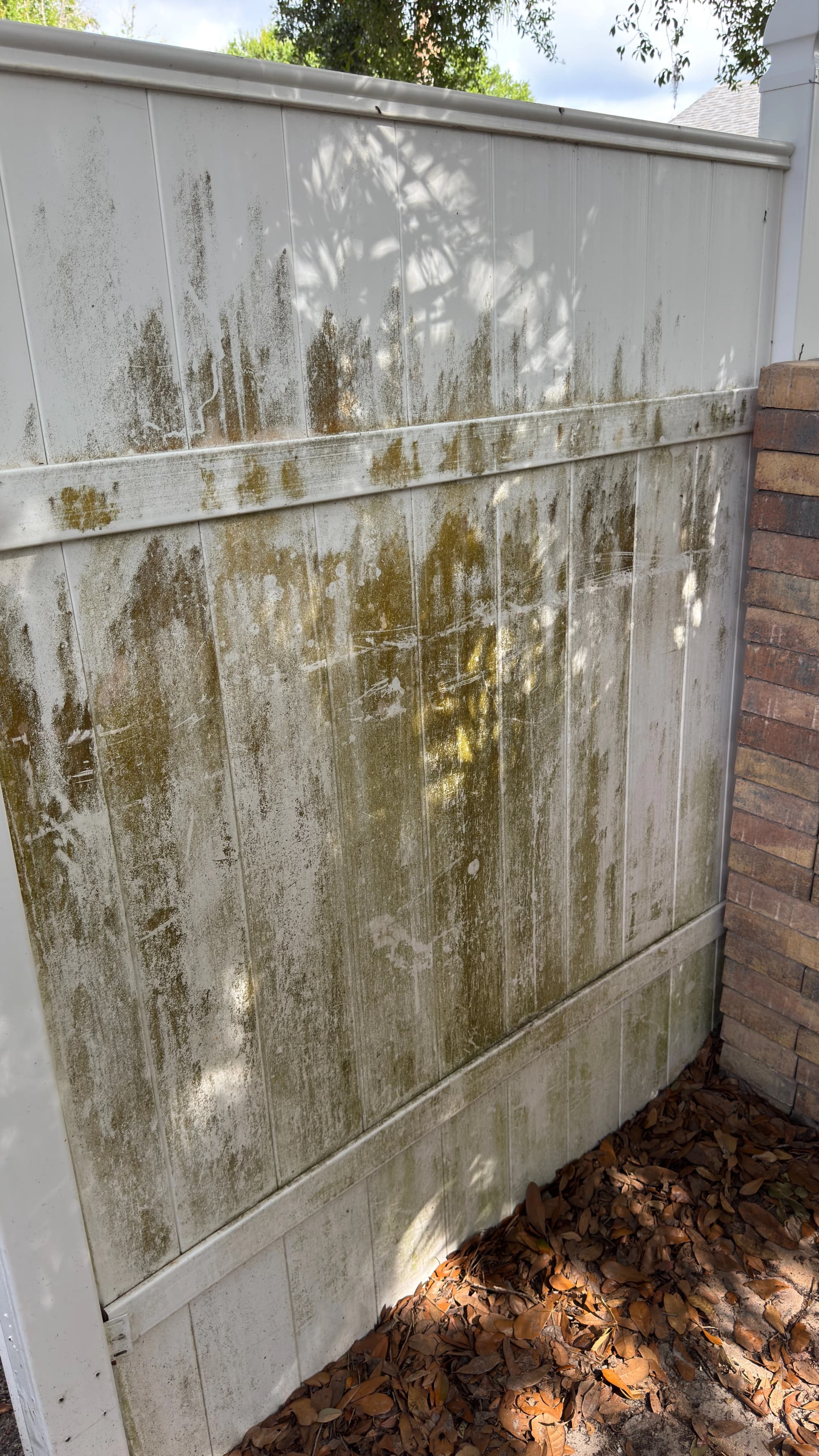Vinyl fence panel before cleaning with heavy green staining and organic buildup in a shaded Tampa side yard