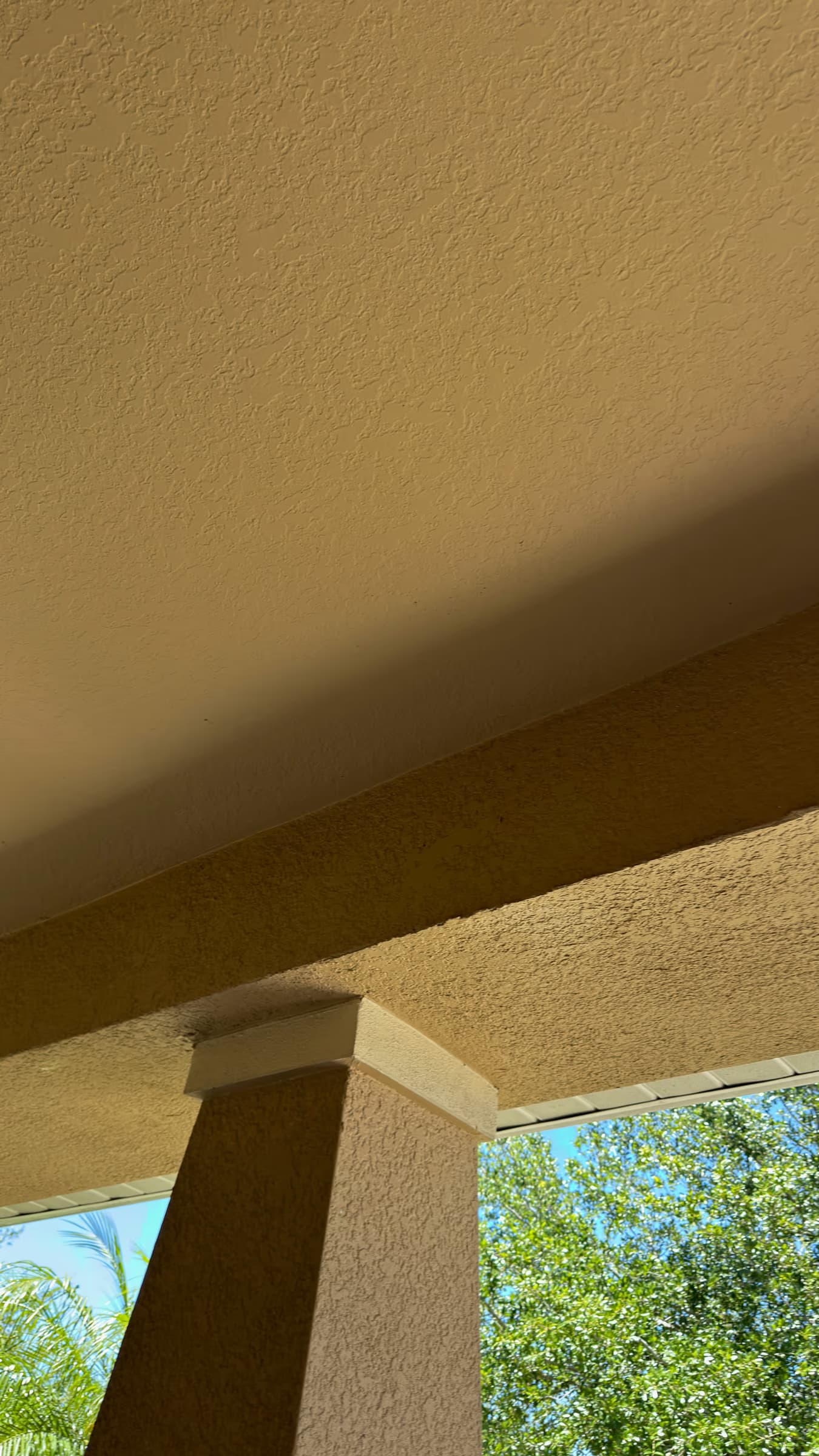 Clean Tampa home exterior before listing photos and showings