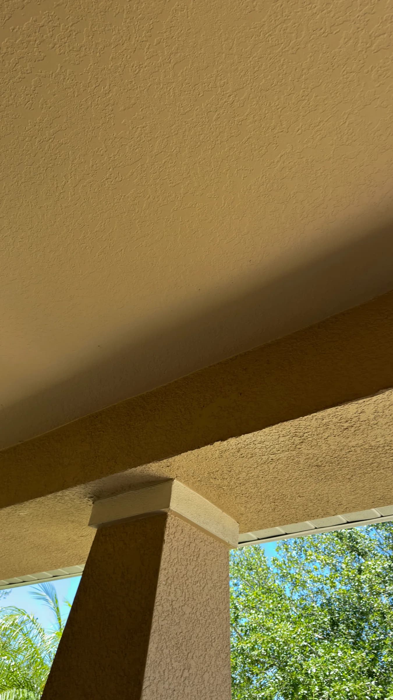 Clean Tampa home exterior ready to photograph and document for insurance inspection follow-up