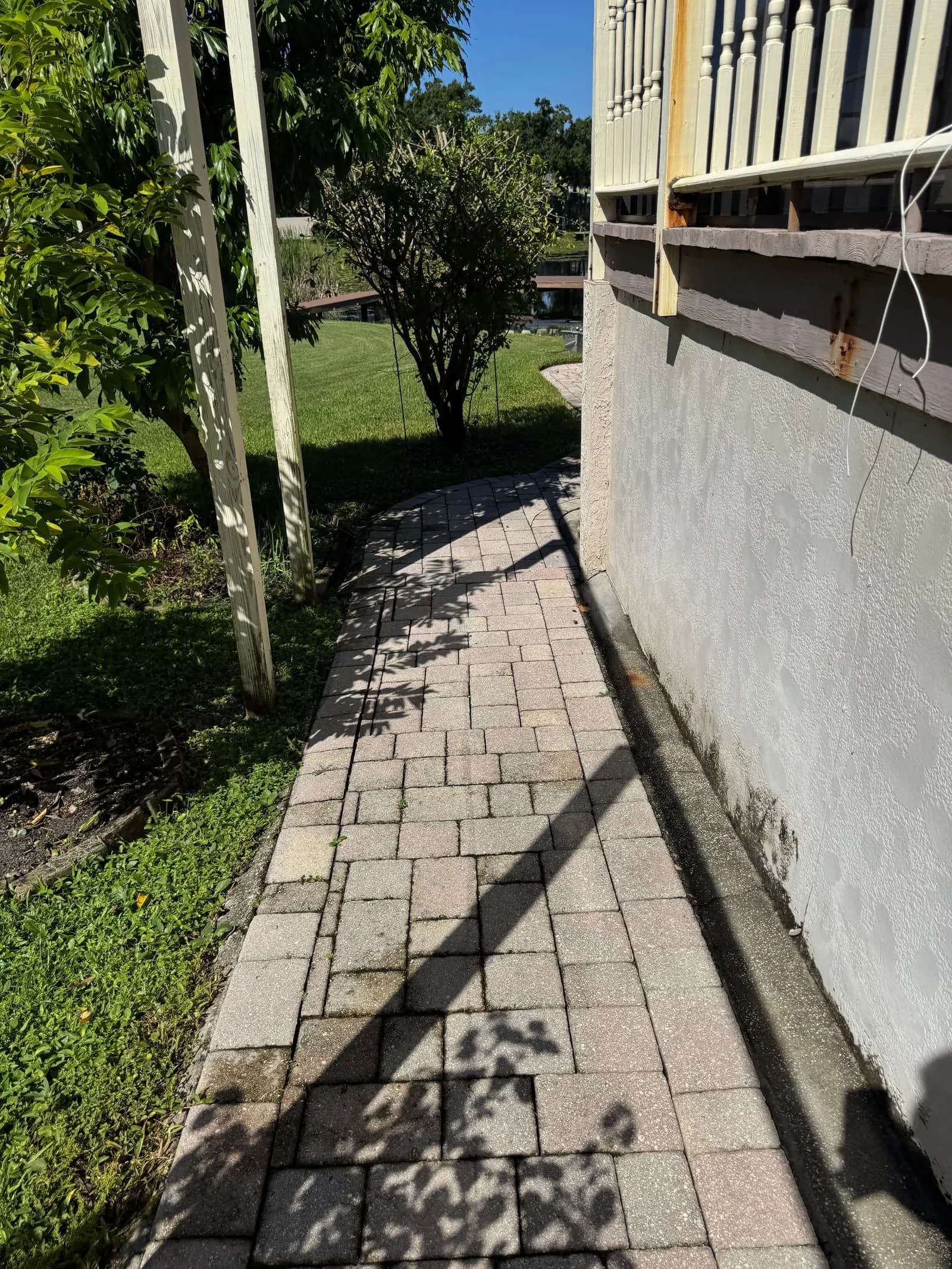Paver walkway in Tampa before or during cleaning