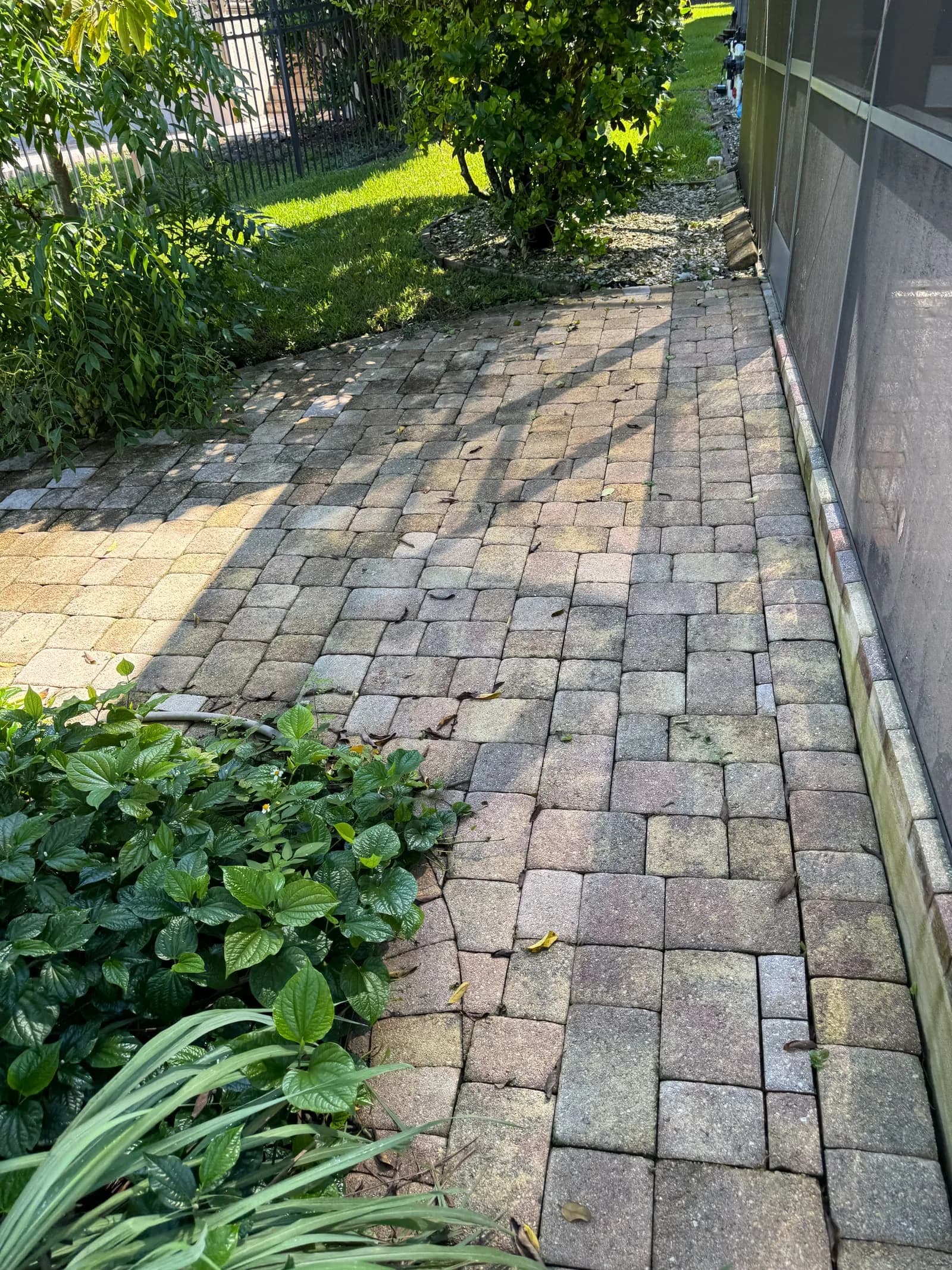 Patio cleaning example in Tampa with a large paver entertaining area