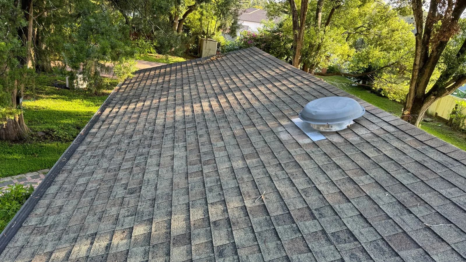 Roof cleaning result in Tampa on a residential asphalt shingle roof
