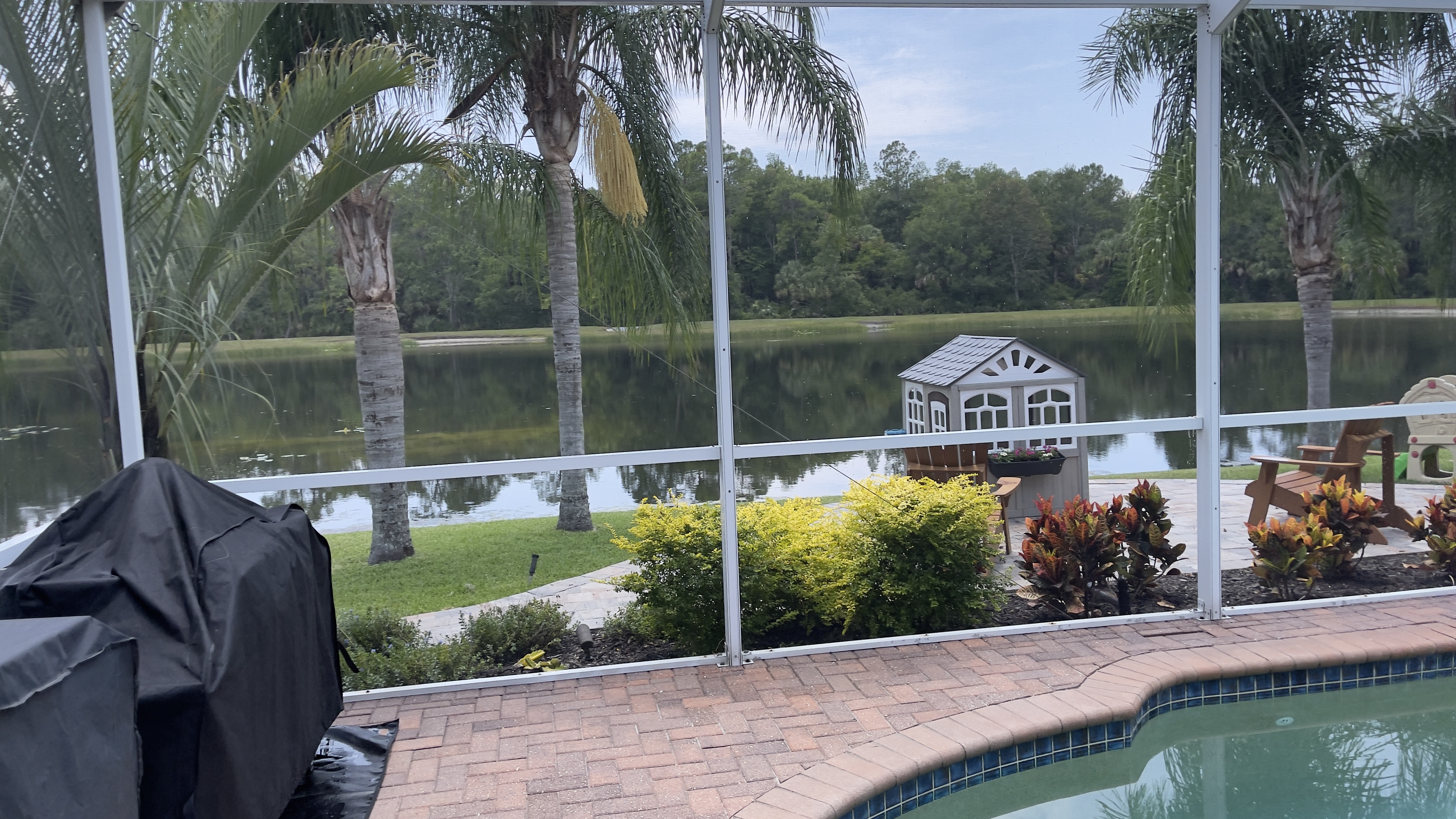 Pool cage and screen enclosure cleaning in Tampa